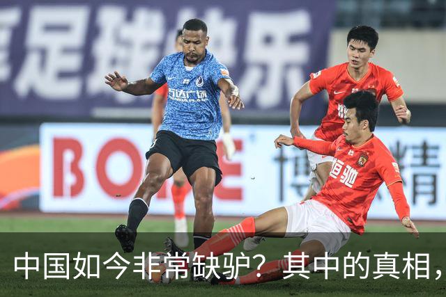 中国如今非常缺驴？其中的真相，比你想象的还要荒诞得多