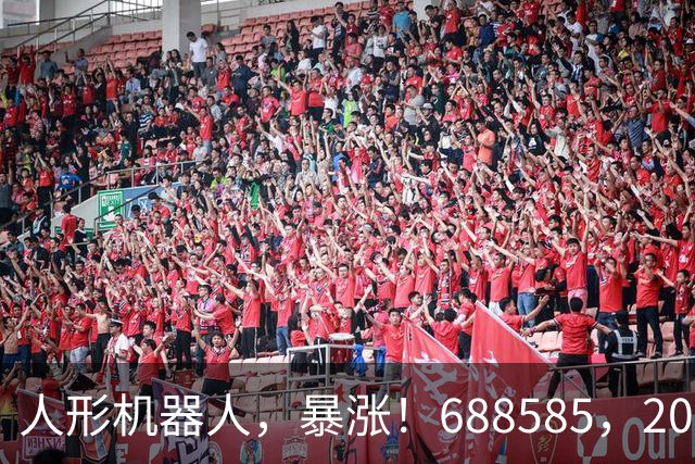 人形机器人，暴涨！688585，20cm涨停！