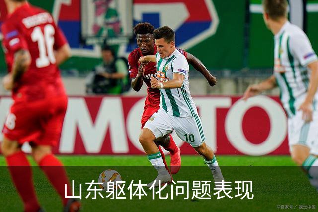 山东躯体化问题表现