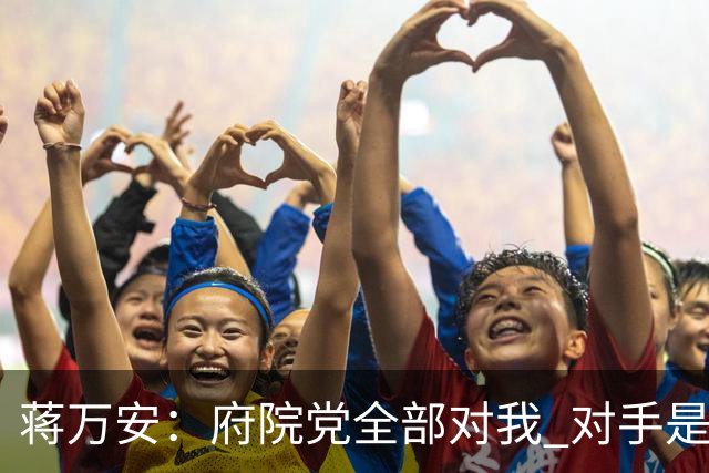 蒋万安：府院党全部对我 对手是两个沈伯洋